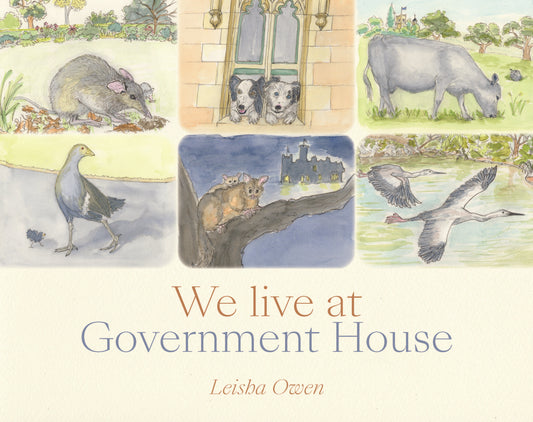 We Live at Government House